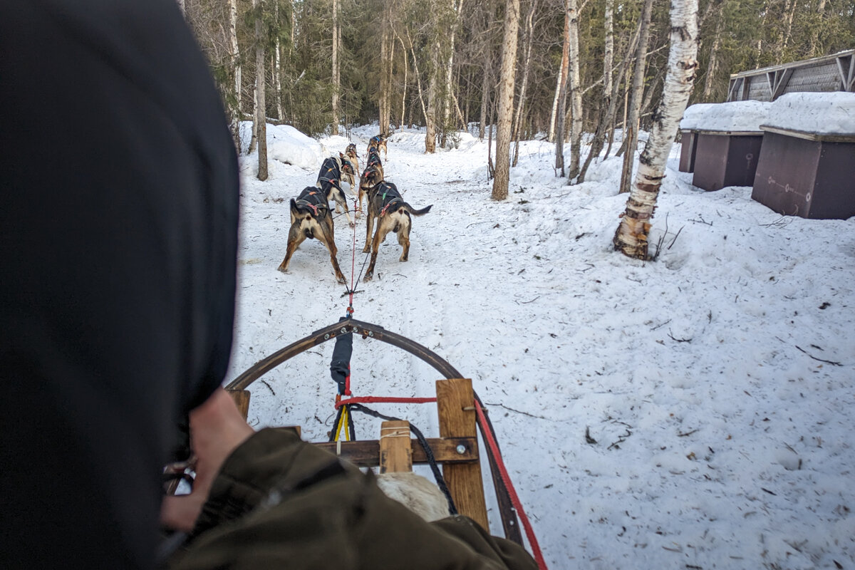 Départ d'un traineau pendant une activité à Kiruna