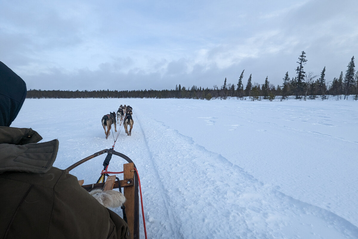 Paysage du côté de Jukkasjarvi avec des chiens de traineau
