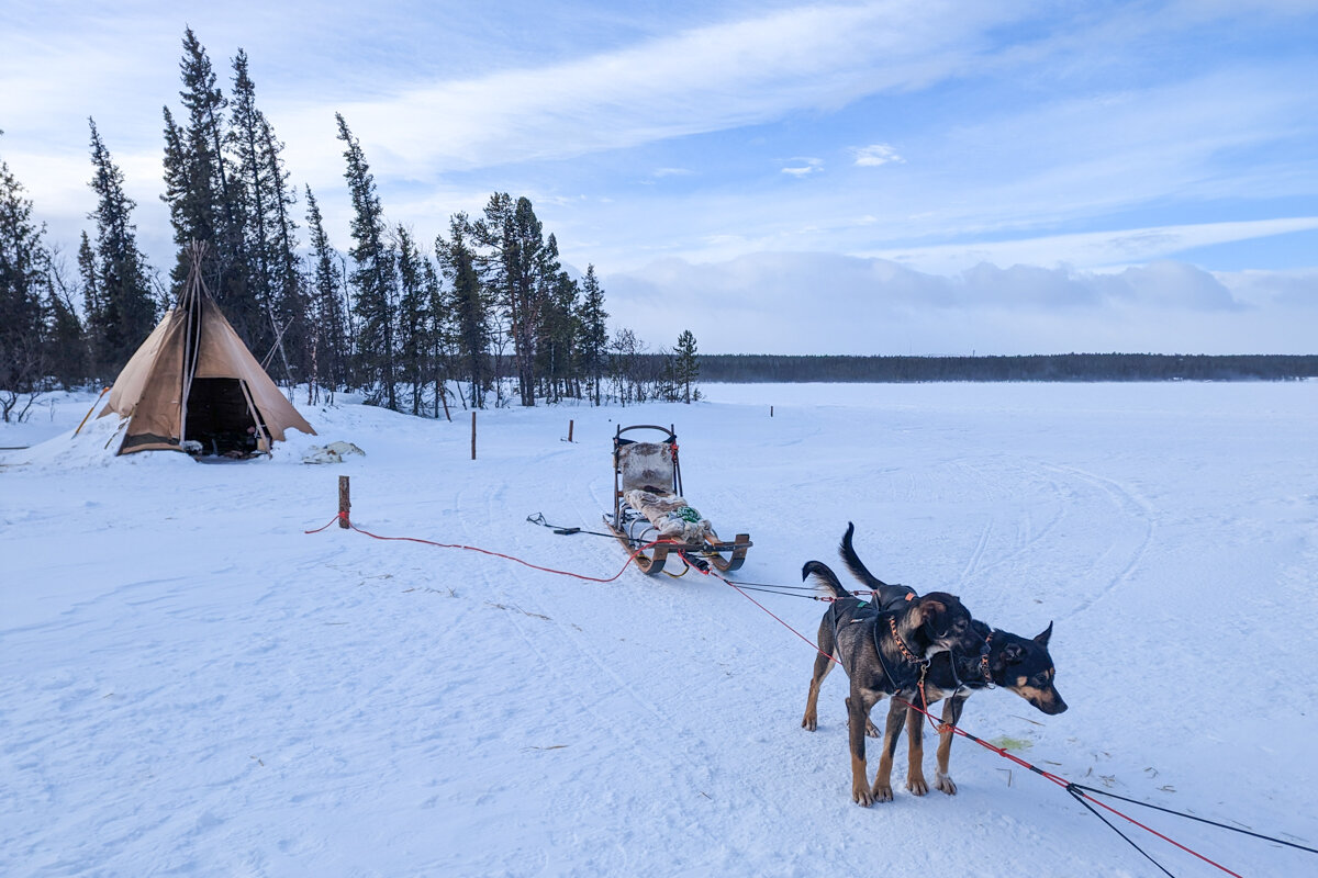 Tente de la pause fika lors du chien de traineau à Kiruna