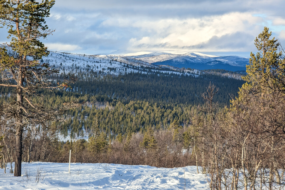 Paysage sur les hauteurs d'une randonnée raquette à Kiruna