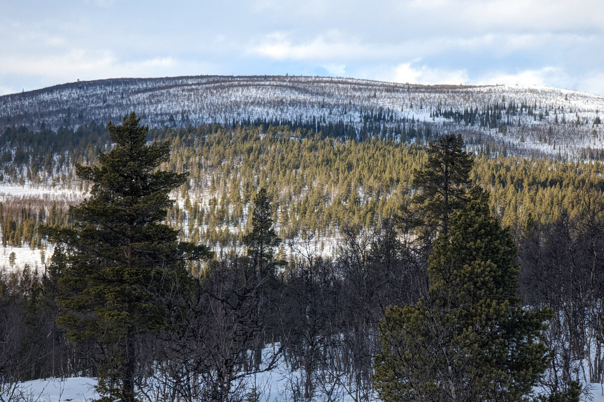 Paysage de randonnée en hiver à Kiruna